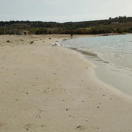 Seagull With Seaviews * Marsaxlokk