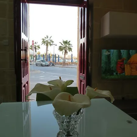 Seagull With Seaviews * Marsaxlokk